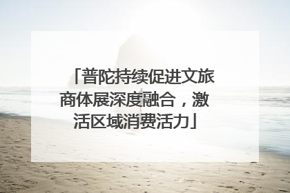 普陀持续促进文旅商体展深度融合，激活区域消费活力