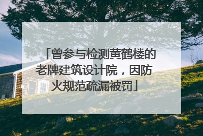 曾参与检测黄鹤楼的老牌建筑设计院，因防火规范疏漏被罚