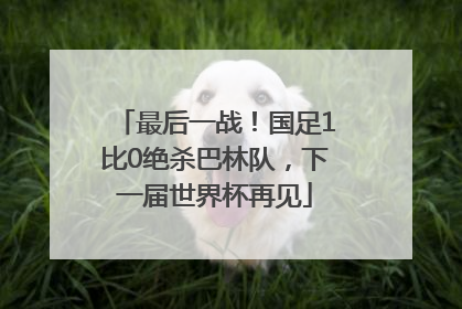 最后一战！国足1比0绝杀巴林队，下一届世界杯再见