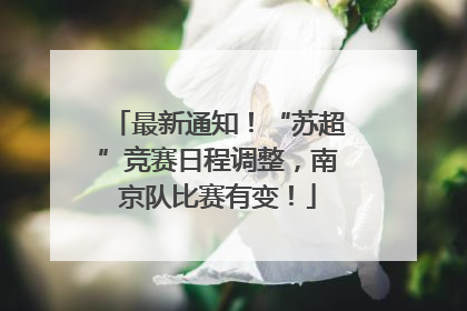 最新通知！“苏超”竞赛日程调整，南京队比赛有变！