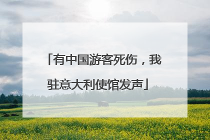 有中国游客死伤，我驻意大利使馆发声