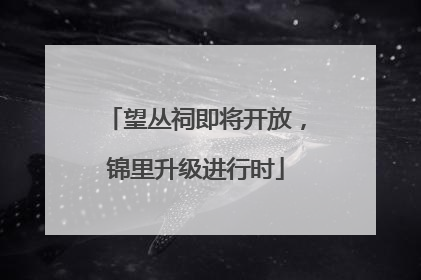 望丛祠即将开放，锦里升级进行时