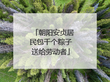 朝阳安贞居民包千个粽子送给劳动者