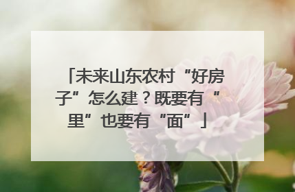 未来山东农村“好房子”怎么建？既要有“里”也要有“面”