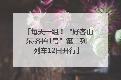 每天一组！“好客山东·齐鲁1号”第二列列车12日开行