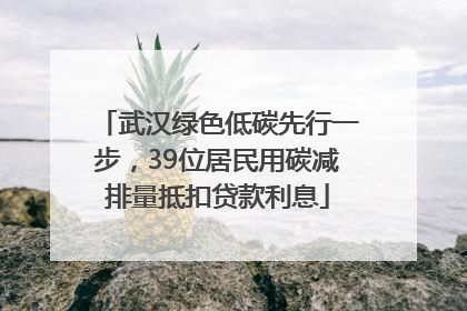 武汉绿色低碳先行一步，39位居民用碳减排量抵扣贷款利息