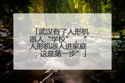 武汉有了人形机器人“学校”，“人形机器人进家庭，这是第一步”