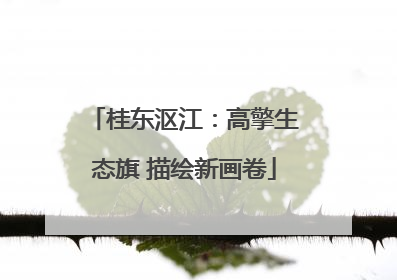 桂东沤江：高擎生态旗 描绘新画卷