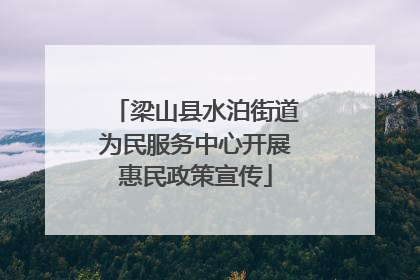 梁山县水泊街道为民服务中心开展惠民政策宣传