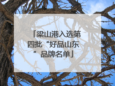 梁山港入选第四批“好品山东”品牌名单