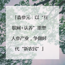 森参元：以“互联网+认养”重塑人参产业，争做时代“新农民”