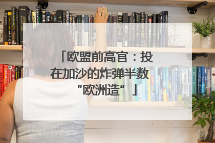 欧盟前高官：投在加沙的炸弹半数“欧洲造”