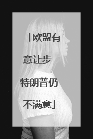 欧盟有意让步 特朗普仍不满意
