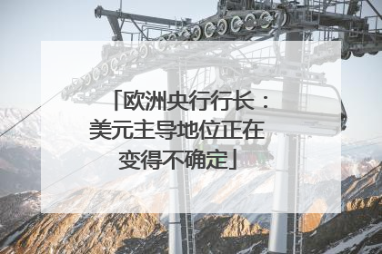 欧洲央行行长：美元主导地位正在变得不确定