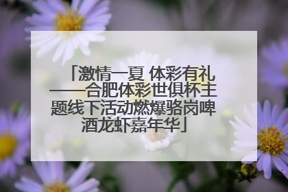 激情一夏 体彩有礼——合肥体彩世俱杯主题线下活动燃爆骆岗啤酒龙虾嘉年华
