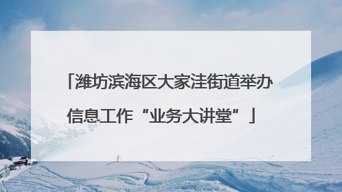 潍坊滨海区大家洼街道举办信息工作“业务大讲堂”
