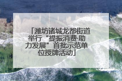 潍坊诸城龙都街道举行“提振消费·助力发展”首批示范单位授牌活动