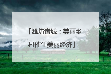 潍坊诸城：美丽乡村催生美丽经济