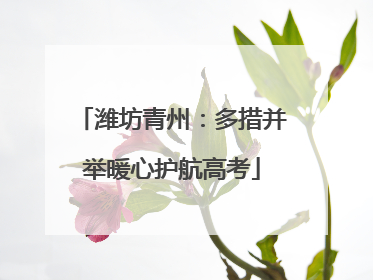 潍坊青州：多措并举暖心护航高考