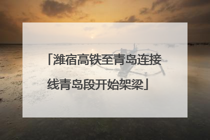 潍宿高铁至青岛连接线青岛段开始架梁