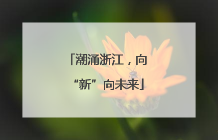 潮涌浙江，向“新”向未来