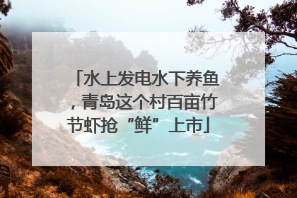 水上发电水下养鱼，青岛这个村百亩竹节虾抢“鲜”上市