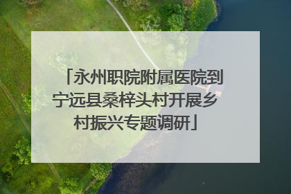 永州职院附属医院到宁远县桑梓头村开展乡村振兴专题调研