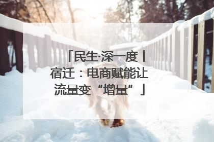 民生·深一度丨宿迁：电商赋能让流量变“增量”