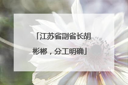 江苏省副省长胡彬郴，分工明确