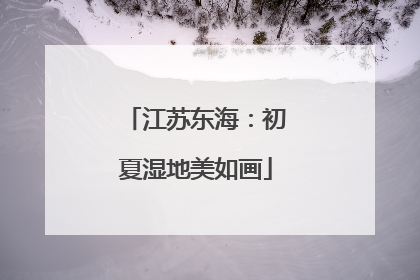 江苏东海：初夏湿地美如画
