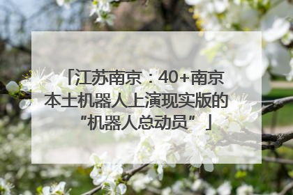 江苏南京：40+南京本土机器人上演现实版的“机器人总动员”