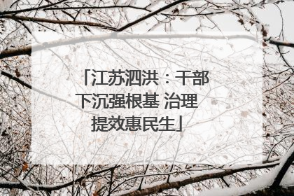 江苏泗洪：干部下沉强根基 治理提效惠民生
