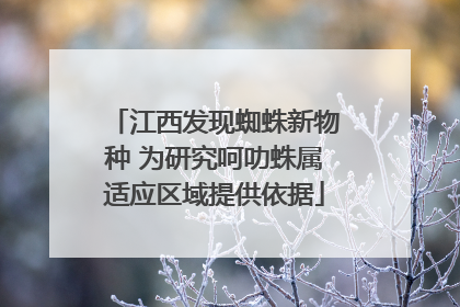 江西发现蜘蛛新物种 为研究呵叻蛛属适应区域提供依据