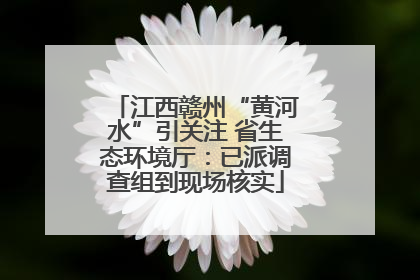 江西赣州“黄河水”引关注 省生态环境厅：已派调查组到现场核实