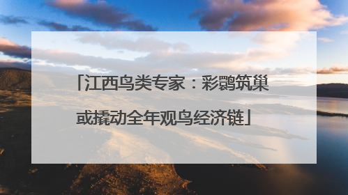 江西鸟类专家：彩鹮筑巢或撬动全年观鸟经济链