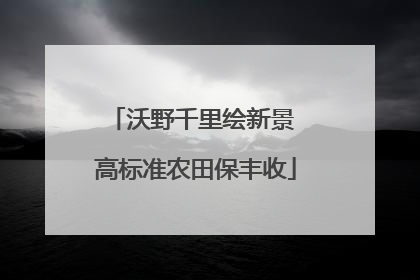 沃野千里绘新景 高标准农田保丰收