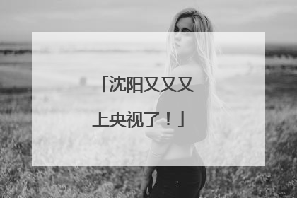 沈阳又又又上央视了！