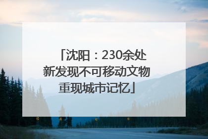 沈阳：230余处新发现不可移动文物重现城市记忆