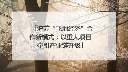 沪苏“飞地经济”合作新模式：以重大项目牵引产业链升级