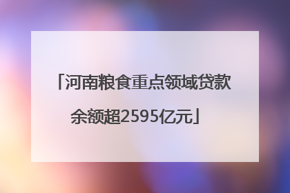 河南粮食重点领域贷款余额超2595亿元