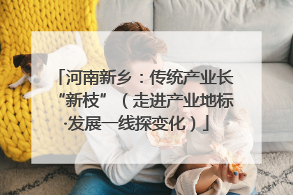 河南新乡：传统产业长“新枝”（走进产业地标·发展一线探变化）