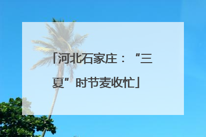 河北石家庄：“三夏”时节麦收忙