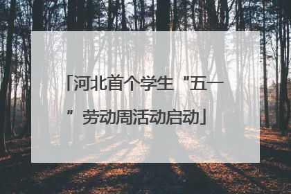 河北首个学生“五一”劳动周活动启动
