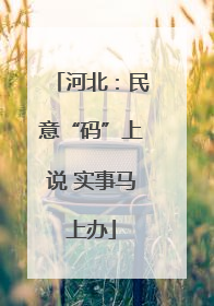 河北：民意“码”上说 实事马上办