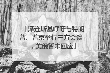泽连斯基呼吁与特朗普、普京举行三方会谈，美俄暂未回应