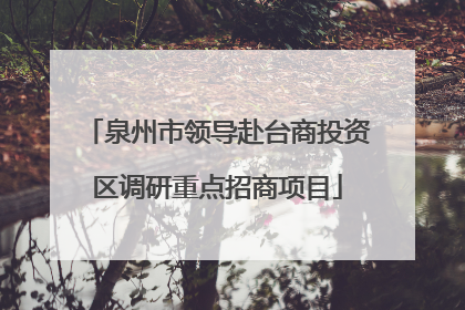 泉州市领导赴台商投资区调研重点招商项目