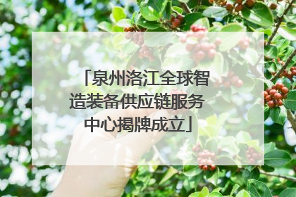 泉州洛江全球智造装备供应链服务中心揭牌成立
