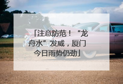 注意防范！“龙舟水”发威，厦门今日雨势仍劲