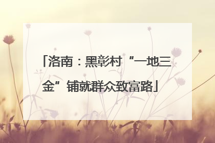 洛南：黑彰村“一地三金”铺就群众致富路