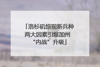 洛杉矶惊现新兵种 两大因素引爆加州“内战”升级